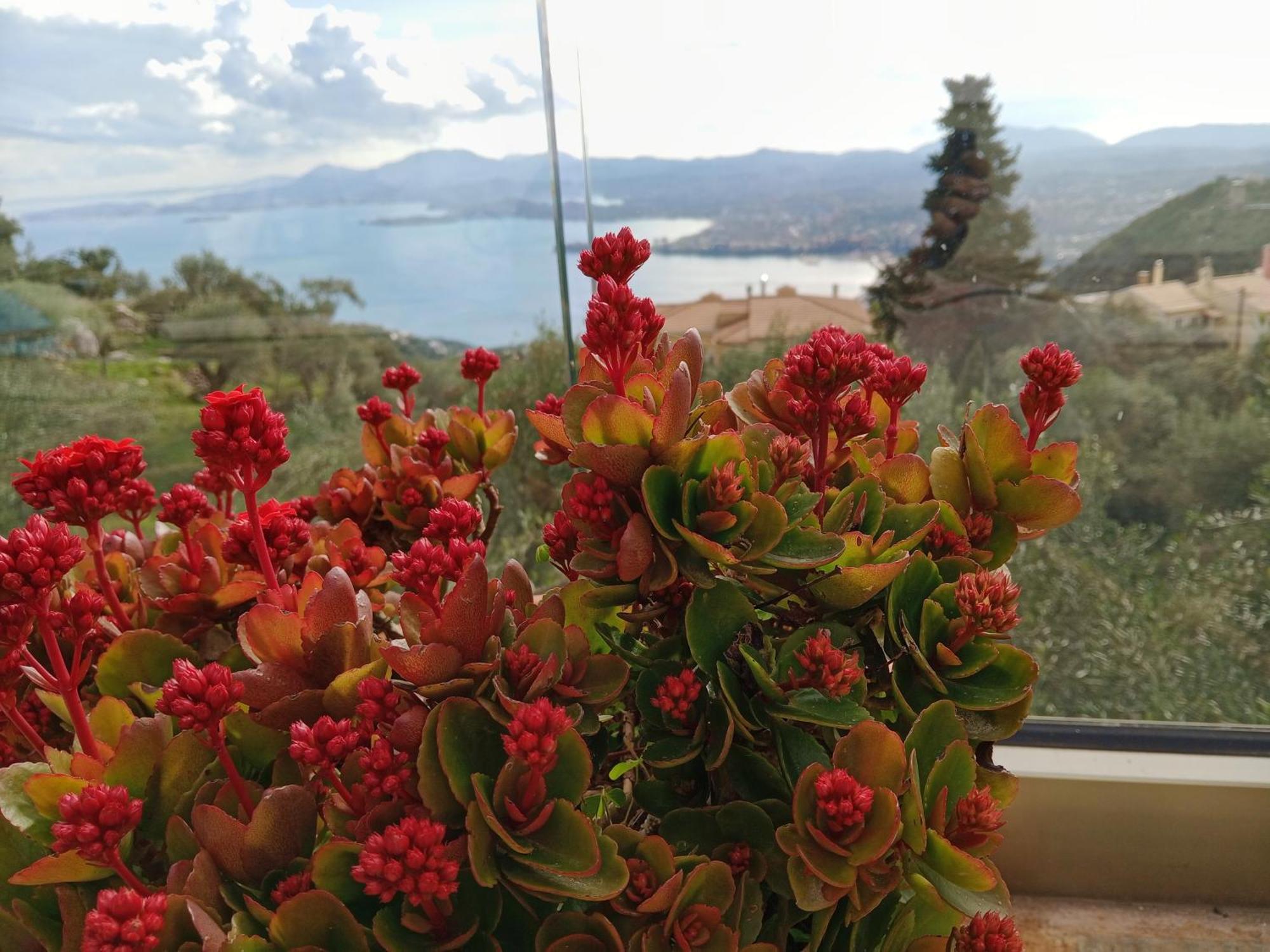 Rizaria Sea View House * Σπαρτύλας